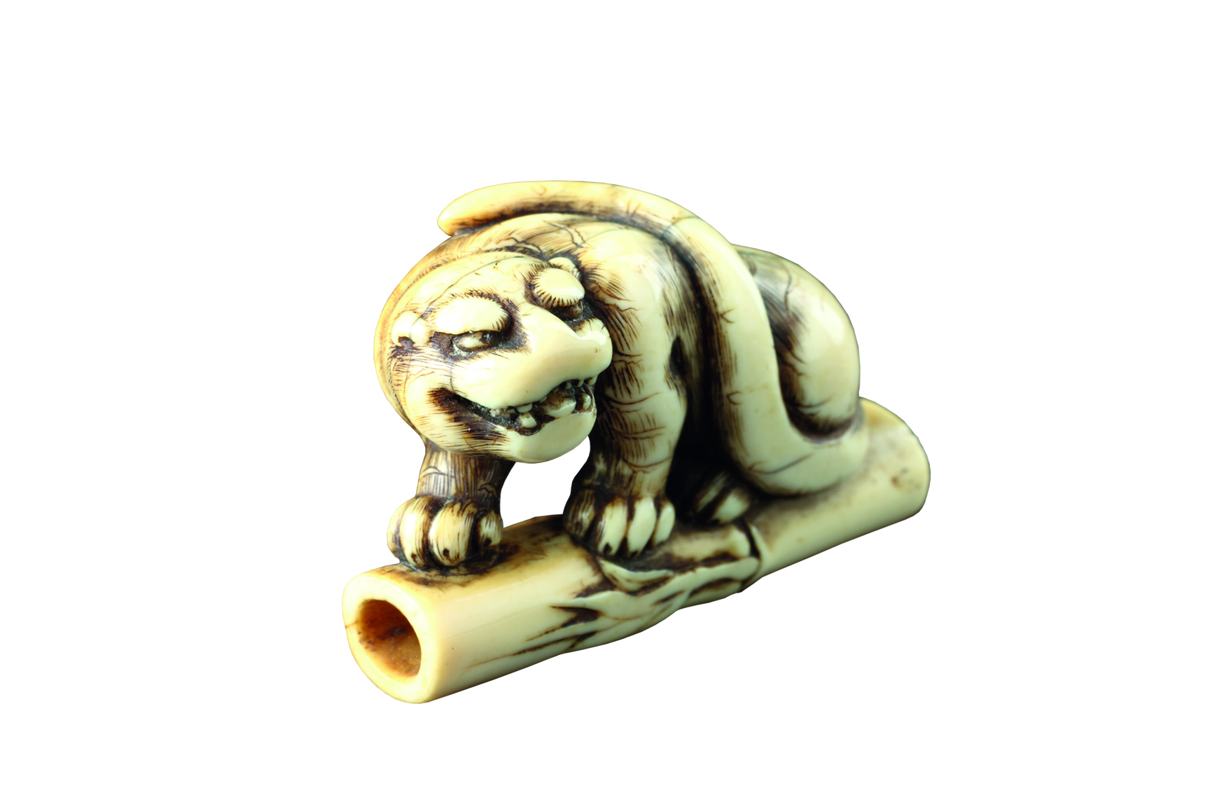 Japanese Carved Ivory Netsuke of an Angry Tiger Seated on a Length of Bamboo